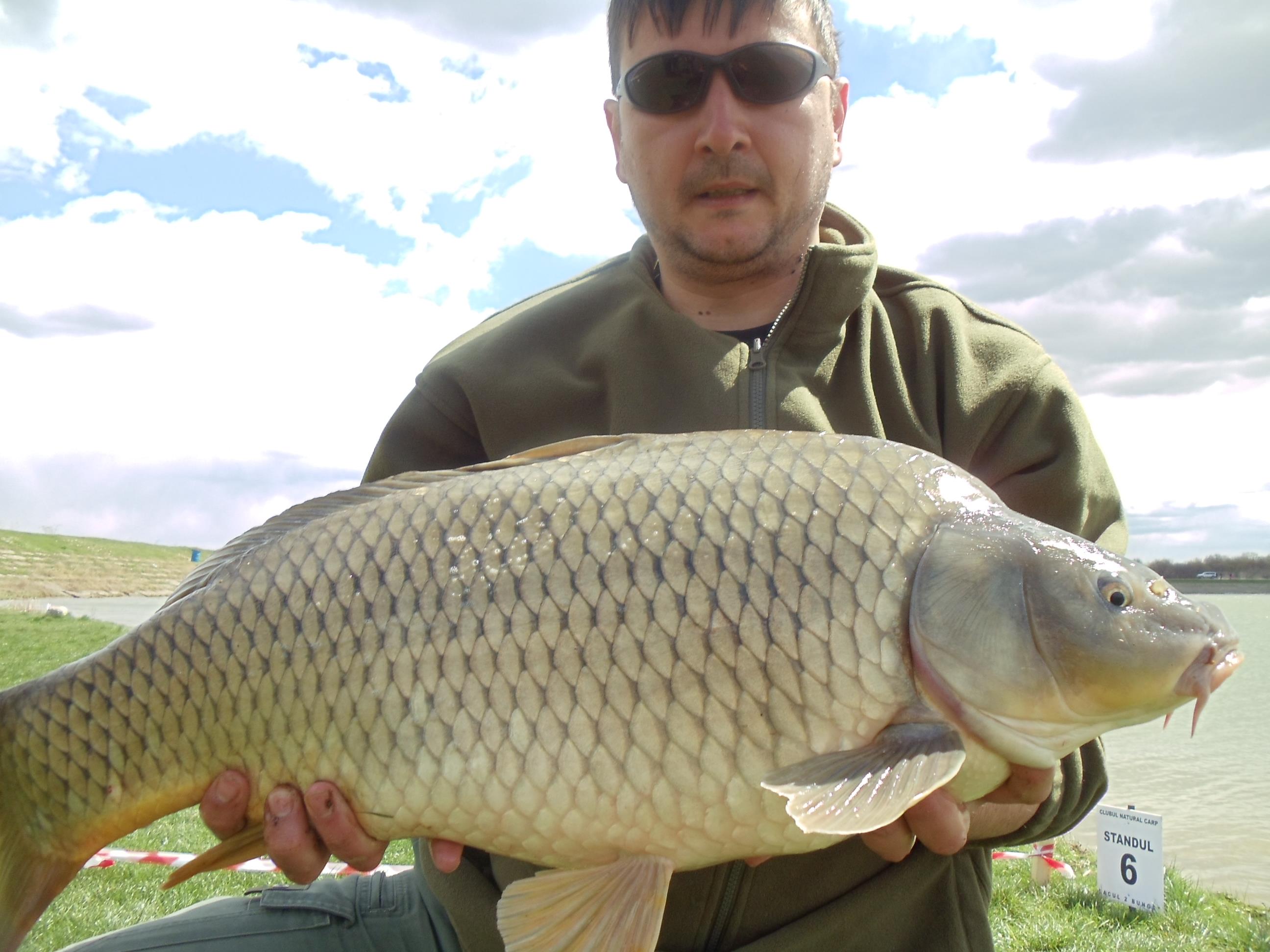 Cupa Primaverii Bunget 2011 - DSC01628.JPG